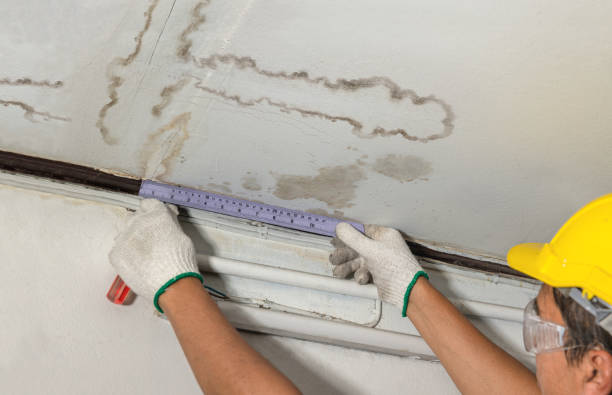 Reliable Water Damage contractor in Fort Calhoun, NE by Water Damage Irwin